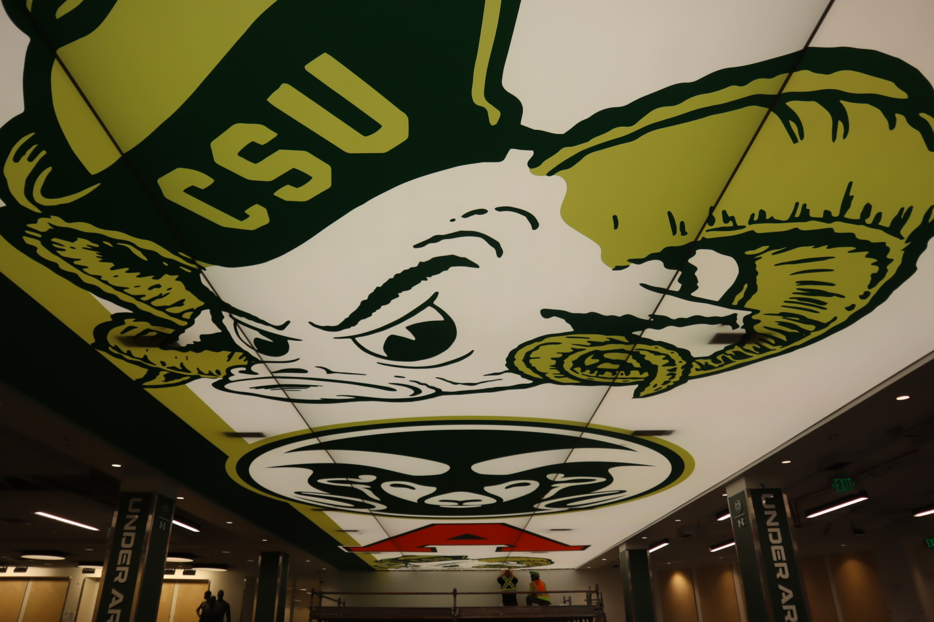 Bookstore Ceiling Graphic