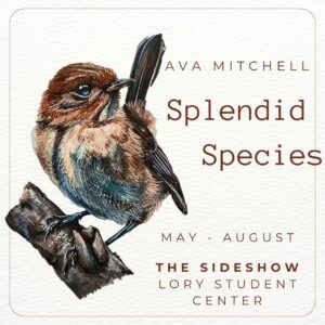 Splendid Species Post (1)